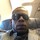 kevin_wilson61
