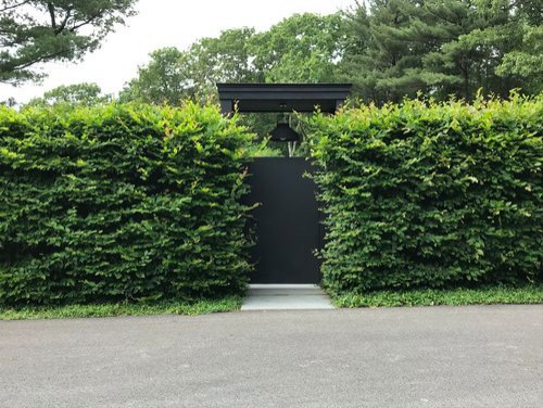 Ornamental Pruning