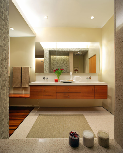 Webster Residence trendy-badevaerelse