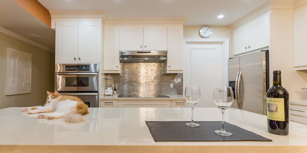 Kitchen - transitional kitchen idea in Toronto