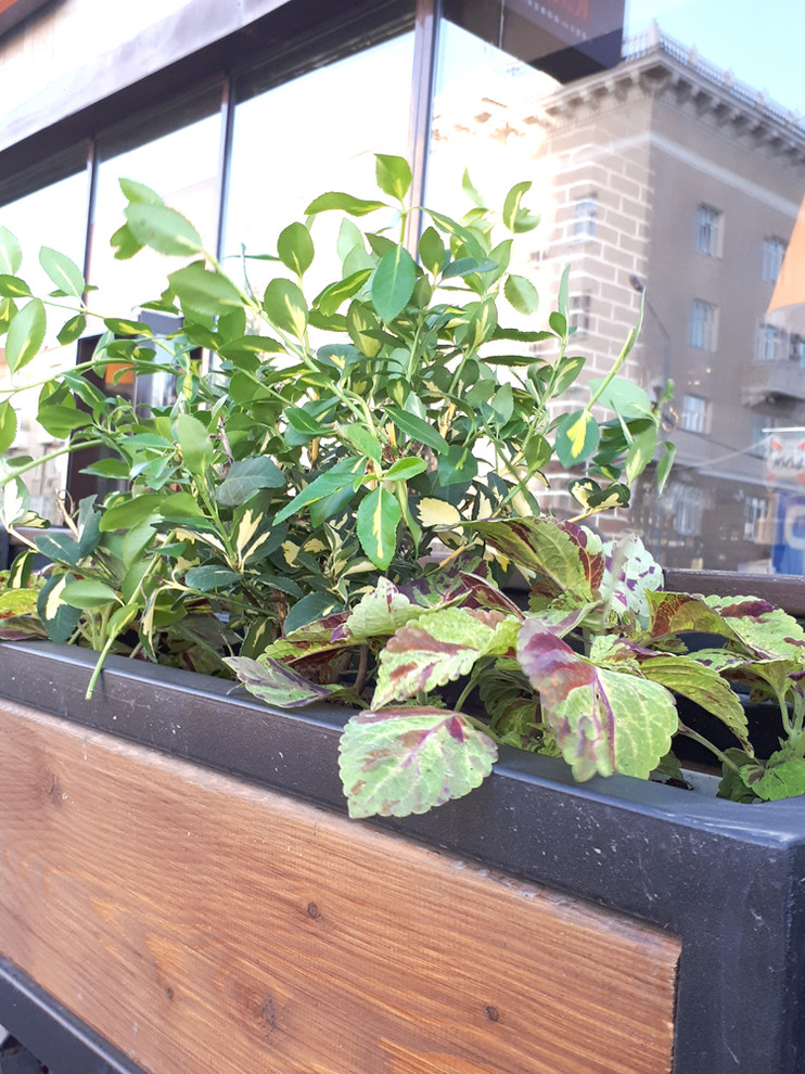 Контейнерное озеленение