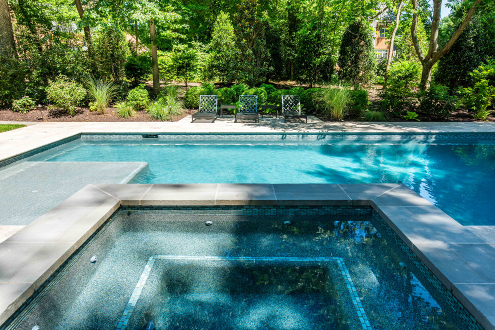 Pool - transitional pool idea in DC Metro