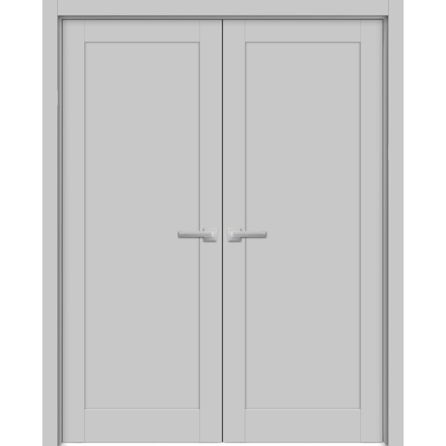 Solid French Double Doors 60 x 80 | Quadro 4111 Matte Grey