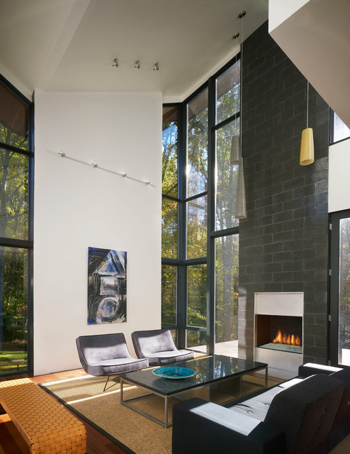 New Construction contemporary-vardagsrum