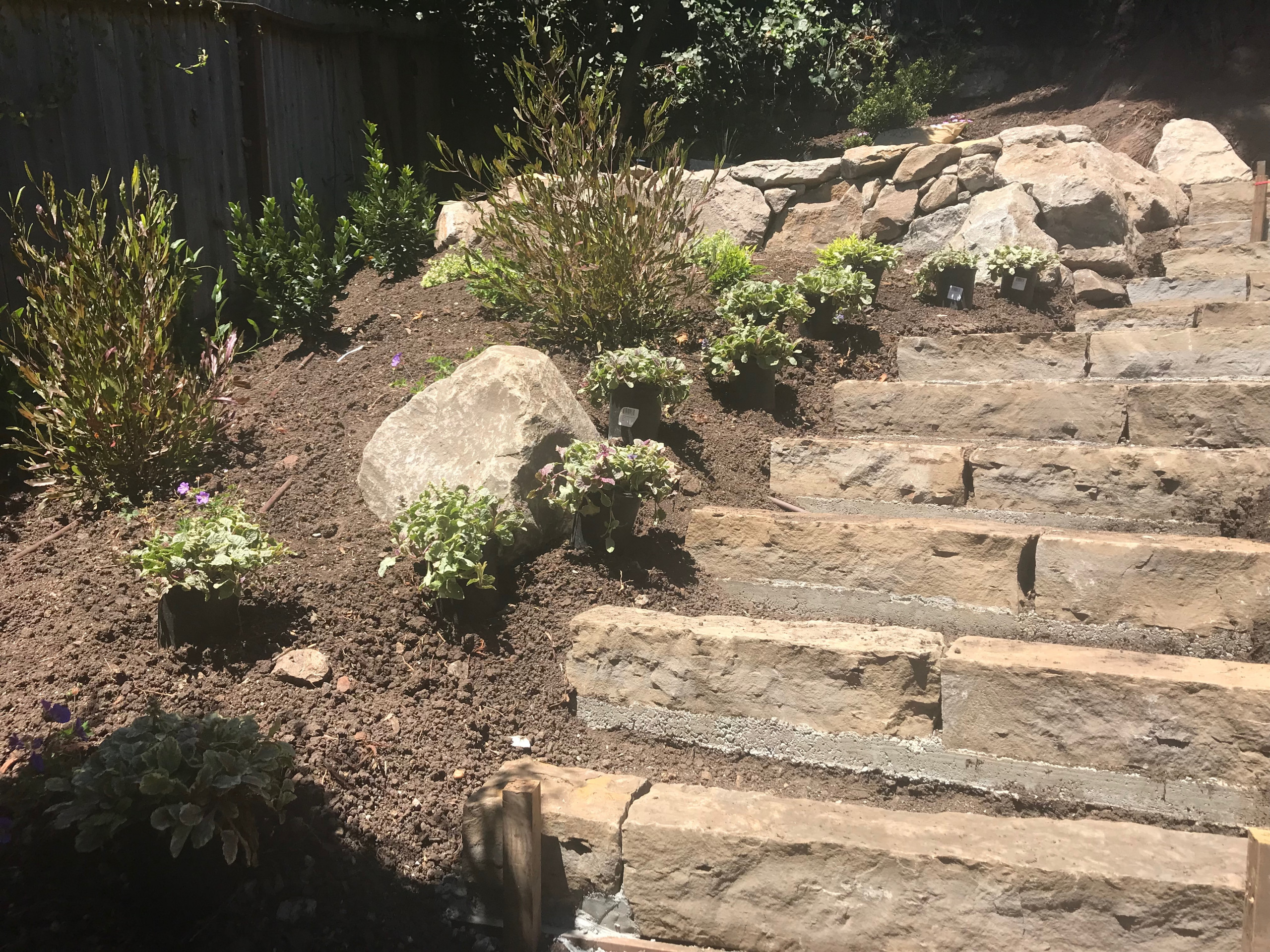 Stone Steps Installation and Planting Progress