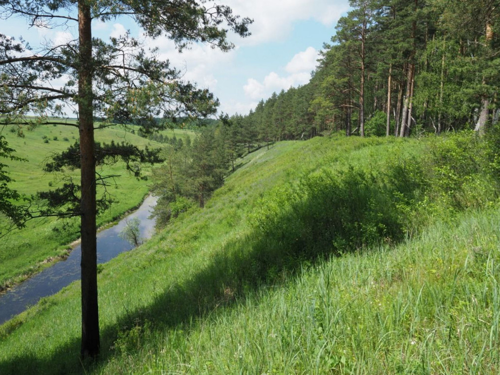 Проект ландшафтного дизайна Верхнего парка