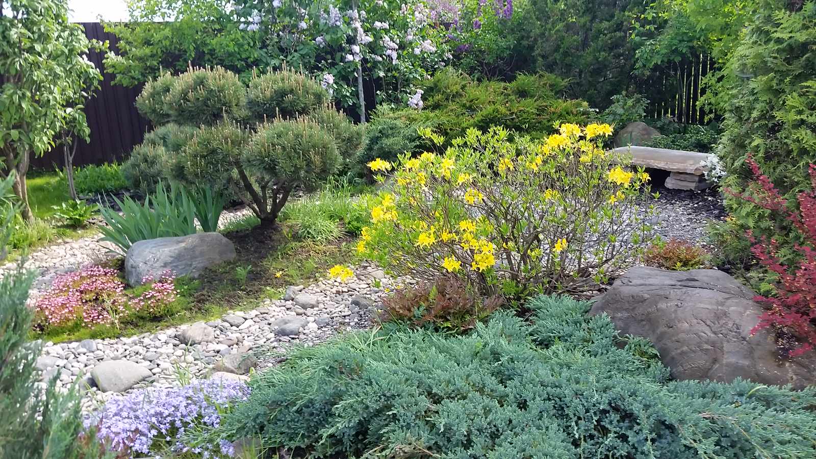 Ландшафтный проект 5