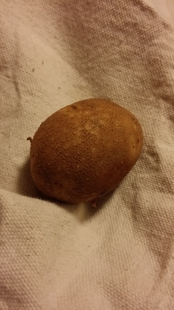 Why do my potatoes have rough skin?