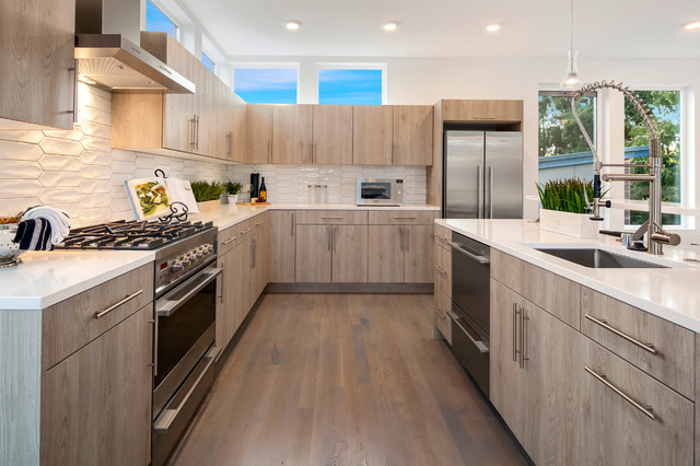 Contemporary Kitchen contemporary-koek