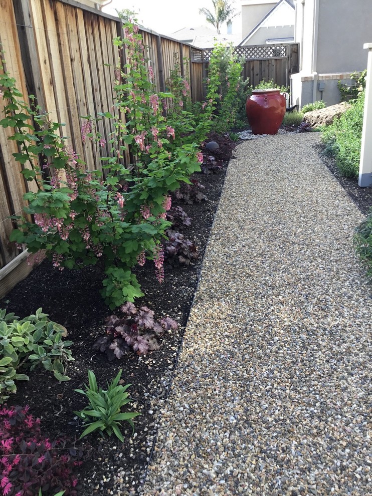 Inspiration for a mid-sized eclectic side yard partial sun xeriscape in San Francisco with a garden path and gravel.