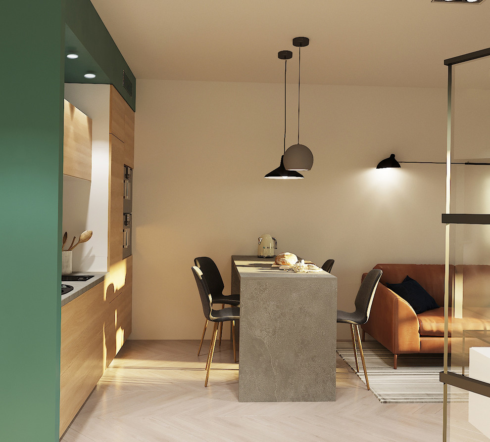 Однокомнатная квартира для студента. Дизайнер Евгения Астахова