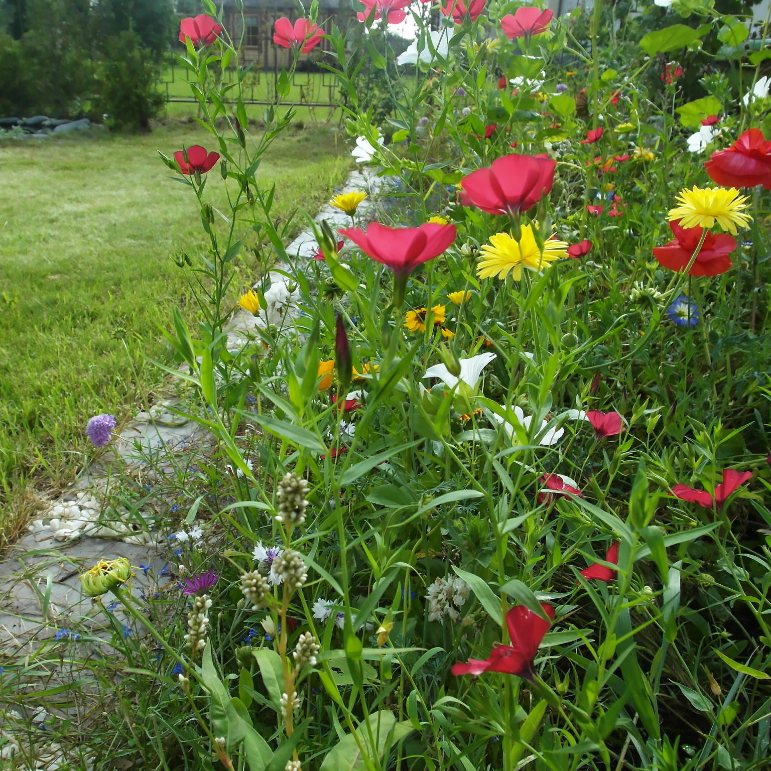 Цветники в природном стиле