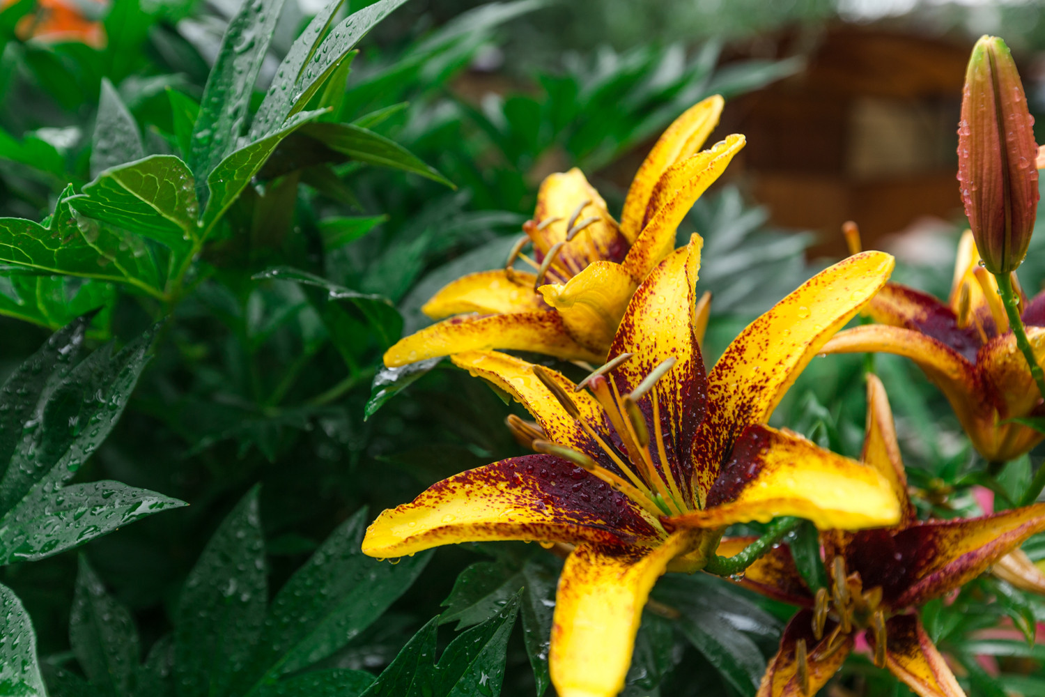 Экстерьер загородного дома