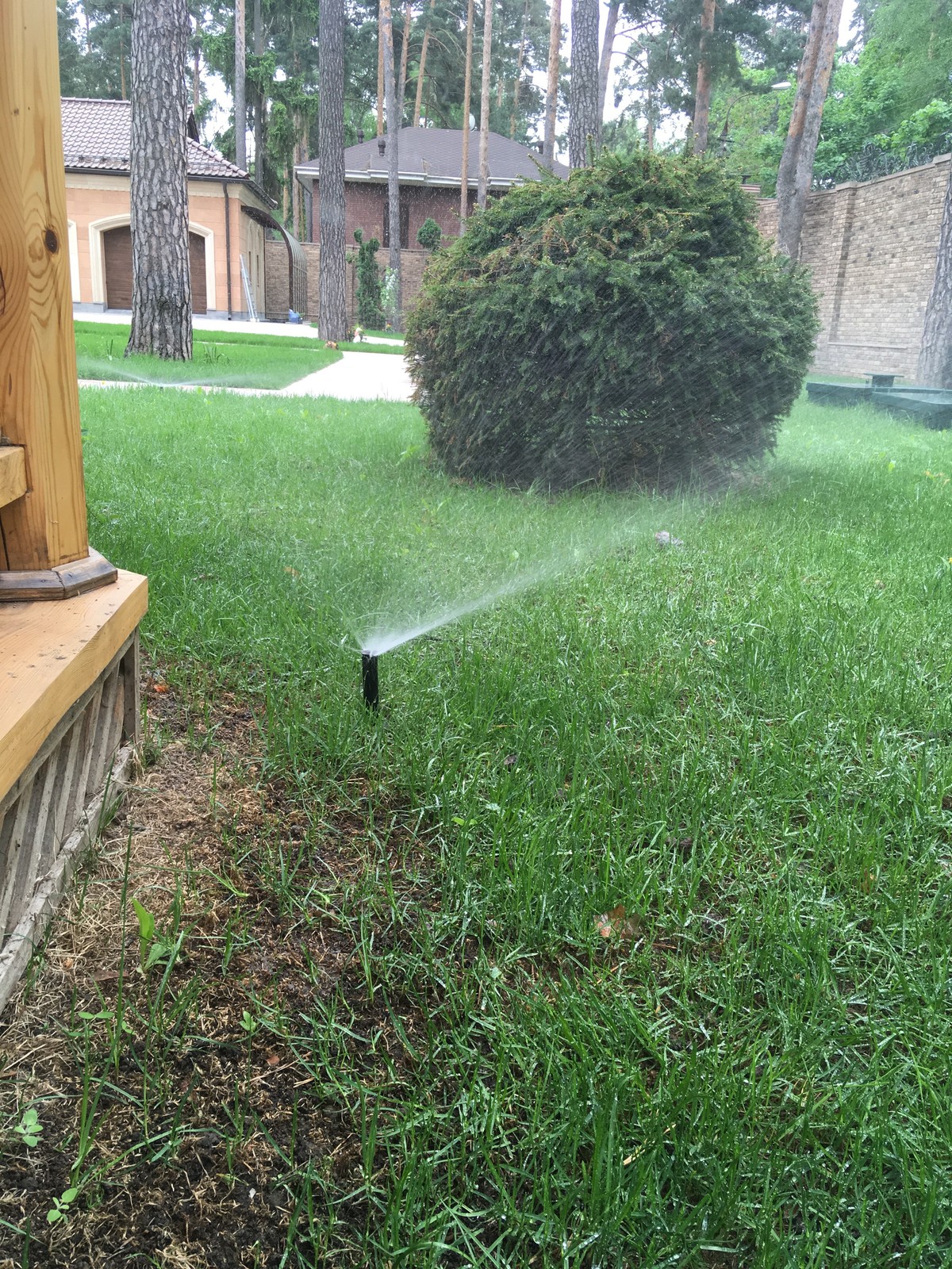 Автоматический полив