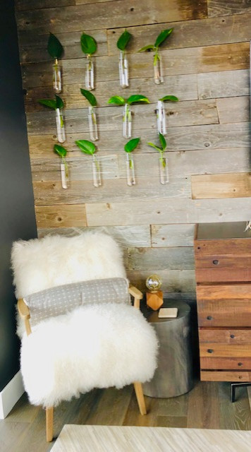 Home design - transitional home design idea in Denver