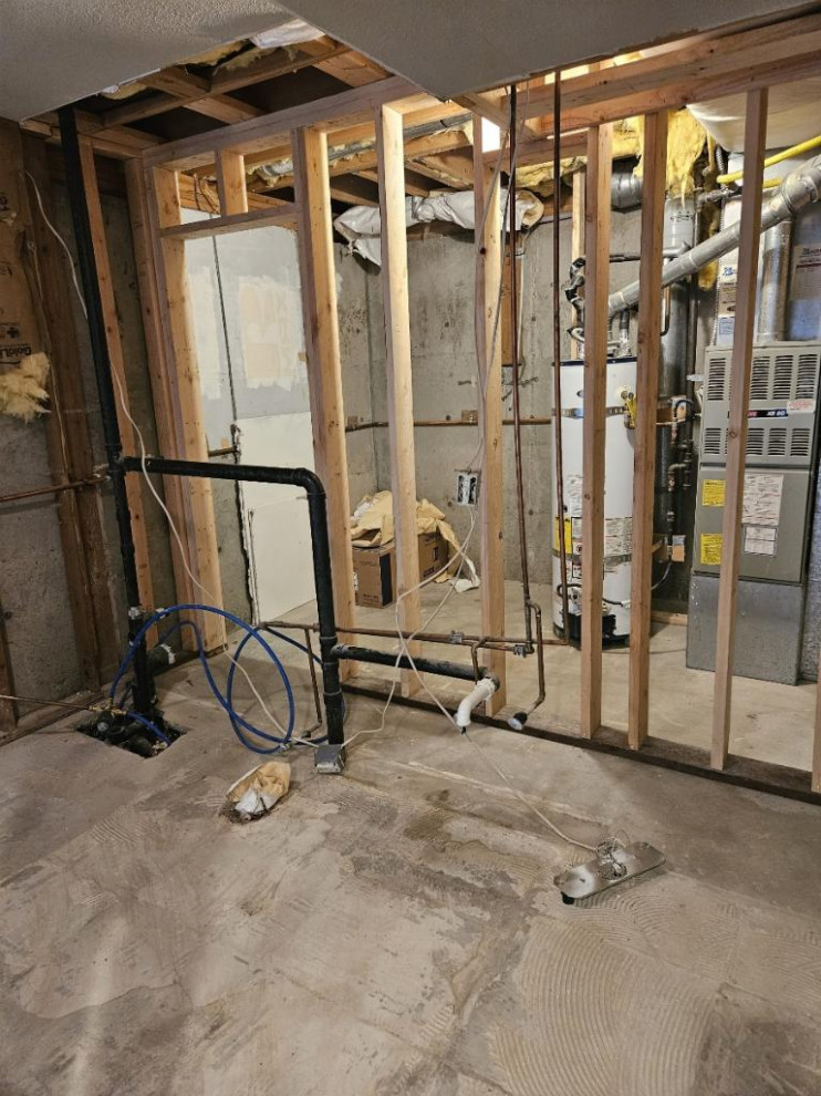 Federal Way Basement Remodel