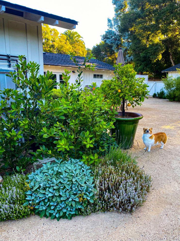 サンタバーバラにあるカントリー風のおしゃれな裏庭 (真砂土舗装) の写真