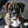 Last commented by gtb9
