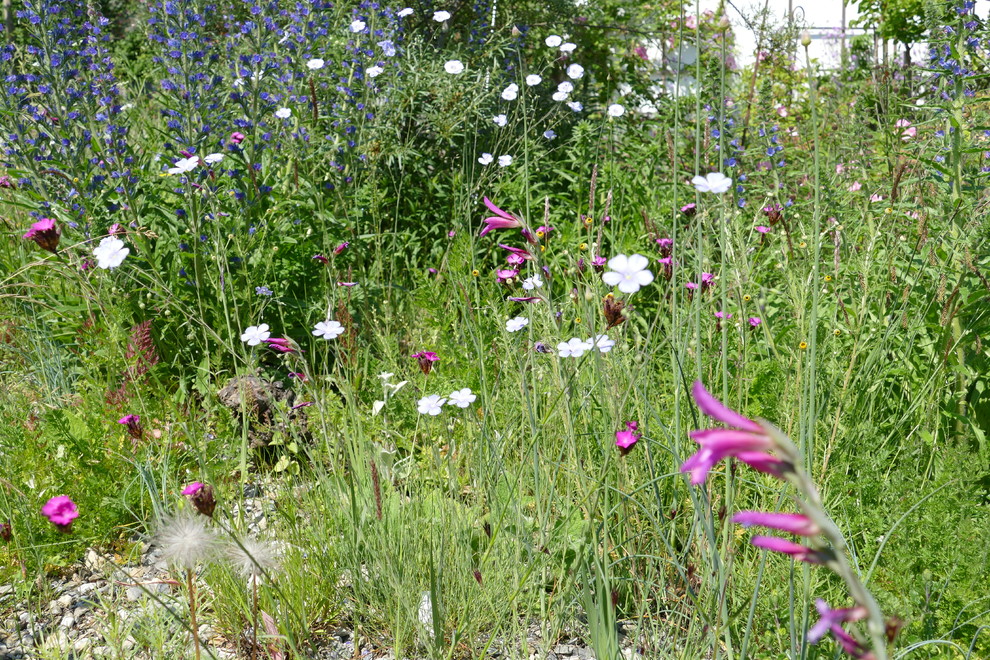 Photo of a mediterranean garden in Stuttgart.