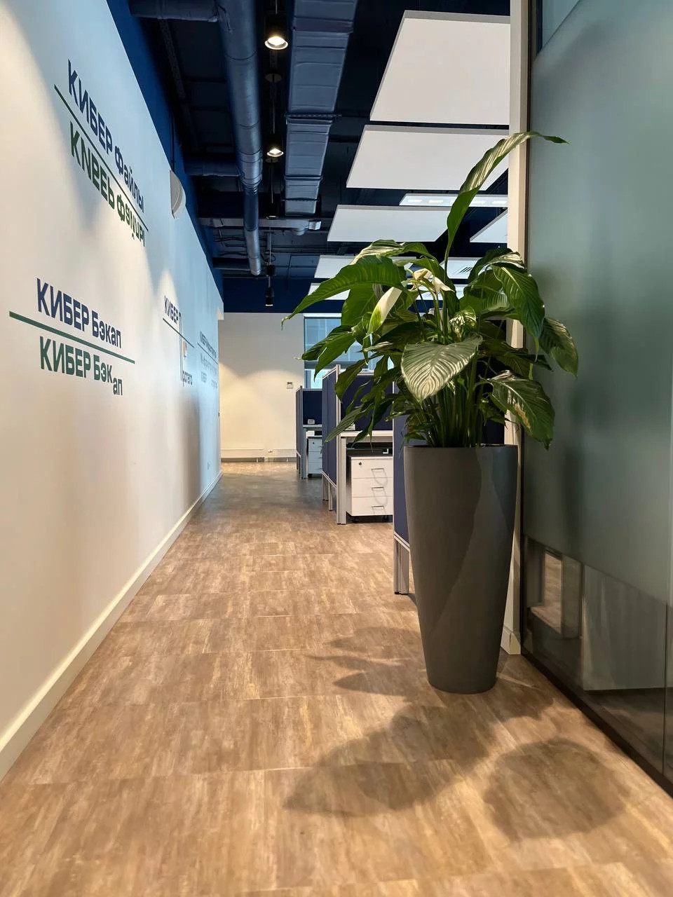 Офис Технодинамика г. Москва