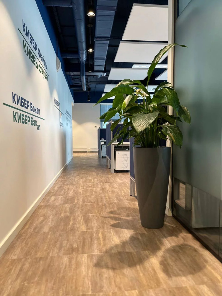 Офис Технодинамика г. Москва