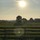 candice_feider