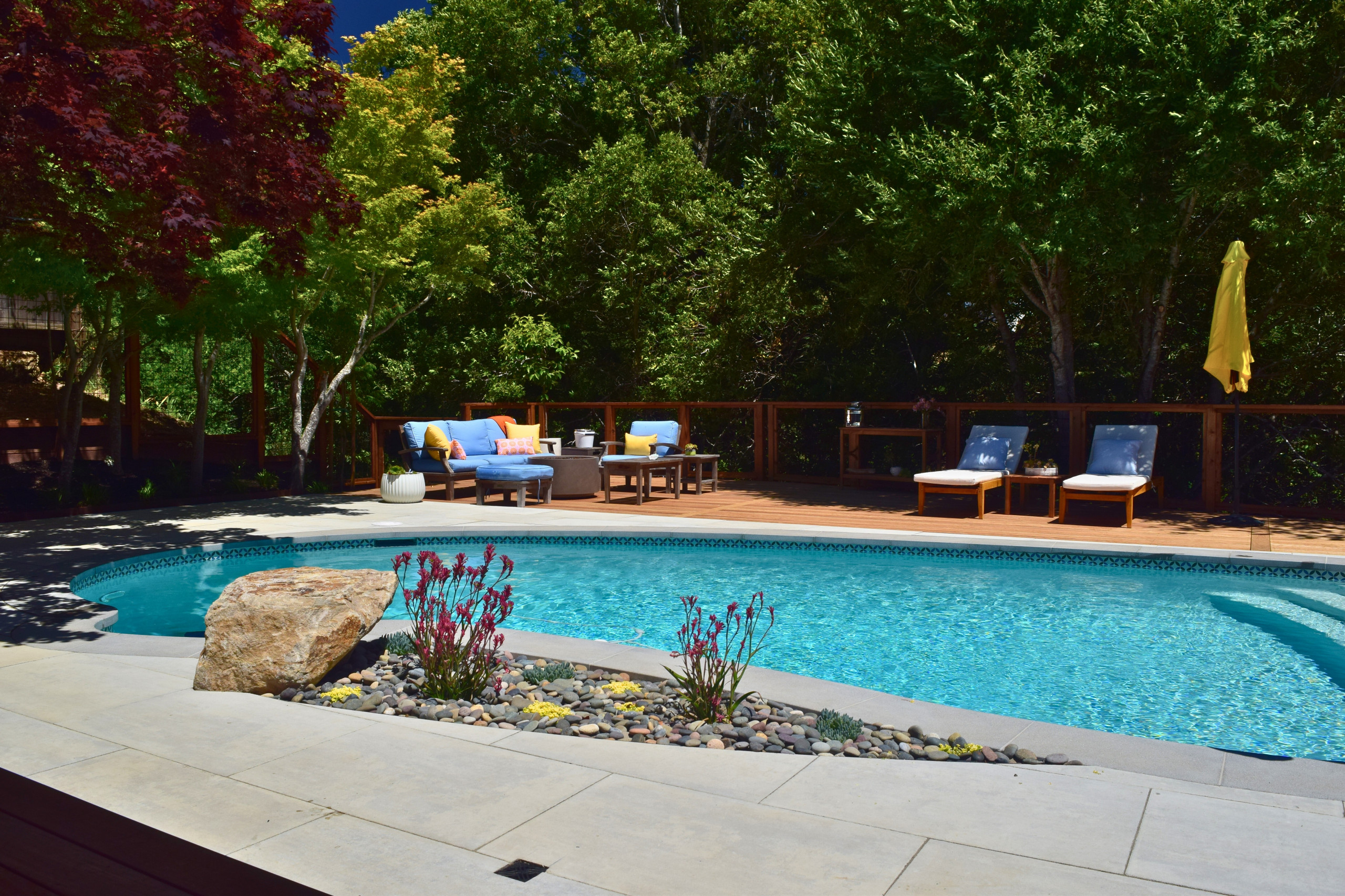 Backyard Pool Deck in San Rafael
