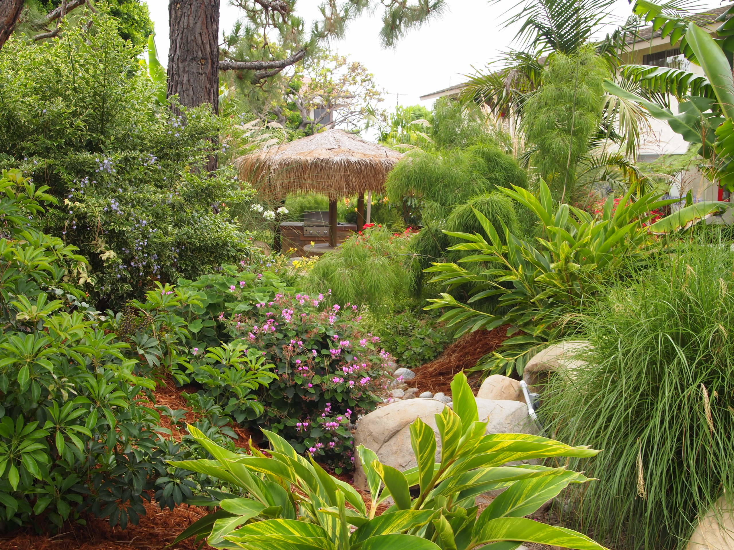 Transport Your Garden to the Tropics