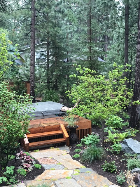 Tahoe Living