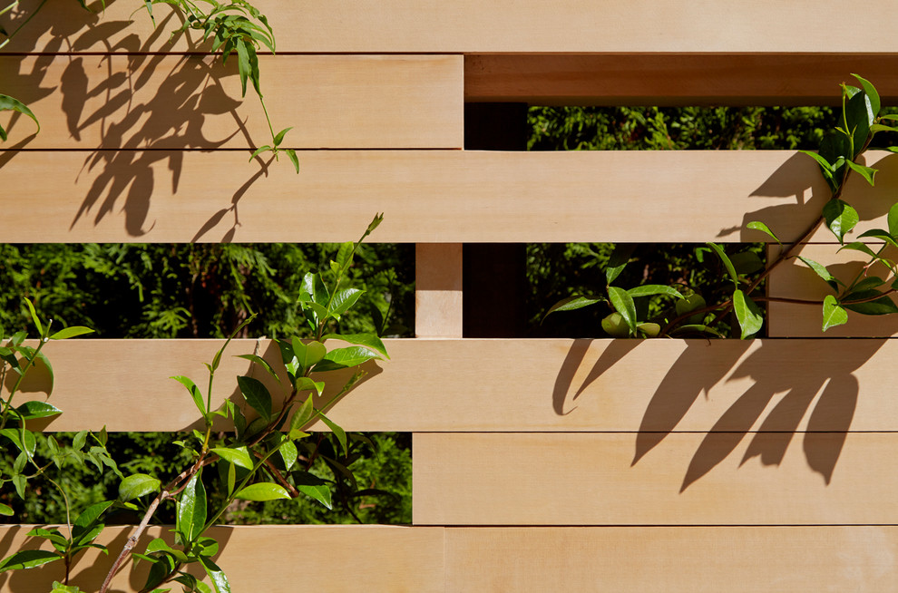 Design ideas for a mid-sized contemporary front yard garden in San Francisco with a vertical garden.
