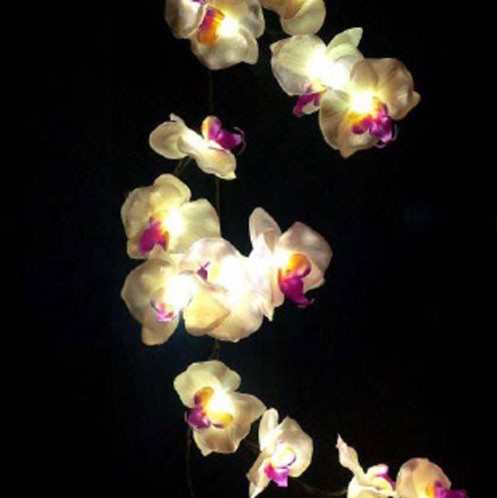 White Orchid Light