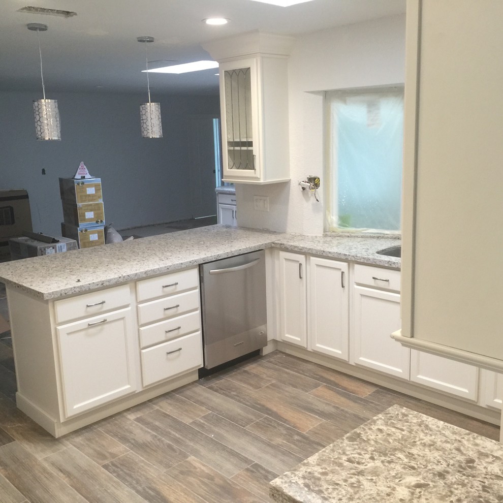 Kitchen - transitional kitchen idea in Miami