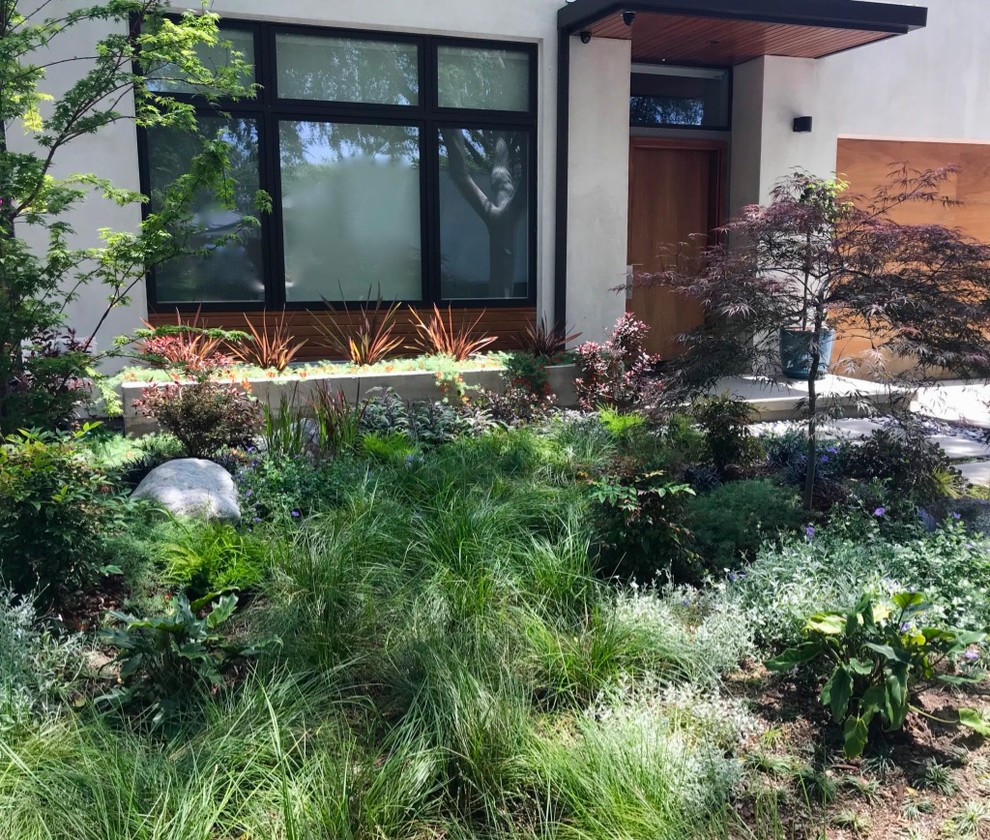 This is an example of a small contemporary front yard partial sun xeriscape for spring in Los Angeles with a garden path and concrete pavers.