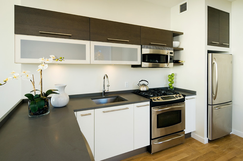 Kitchen - small contemporary l-shaped light wood floor kitchen idea in New York with an undermount sink, flat-panel cabinets, dark wood cabinets, stainless steel appliances, no island and solid surface countertops