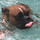 isabel_huddle