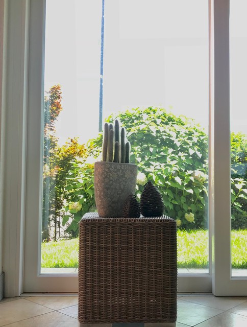 Ispirazione per una veranda contemporanea