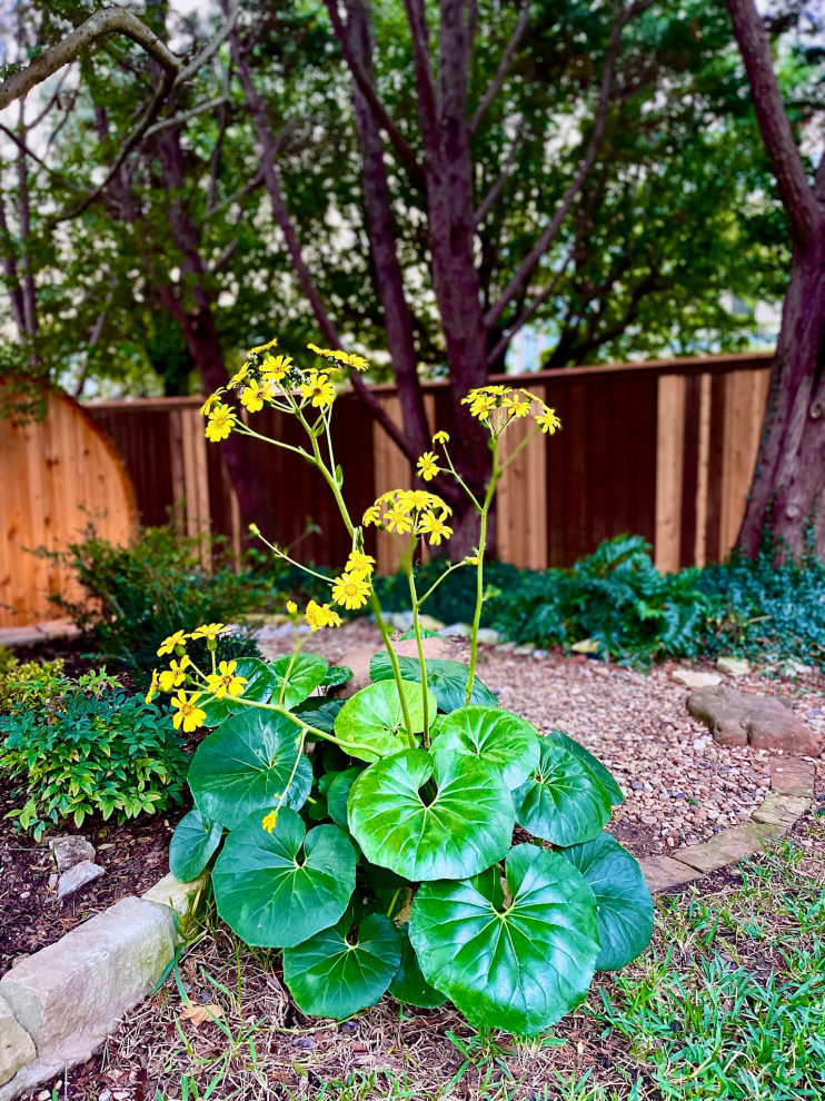 Plano Landscape Design
