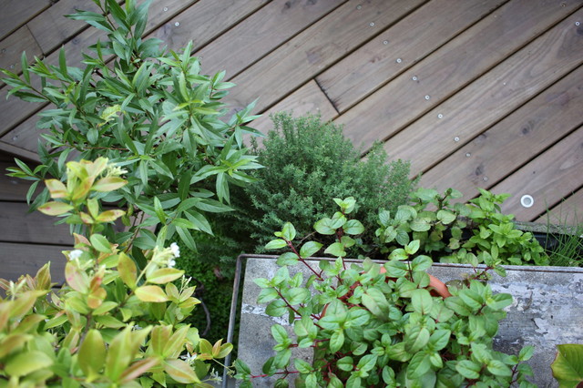 Terrasse urbaine contemporary-deck