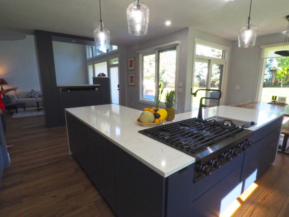Greenwood Village remodel