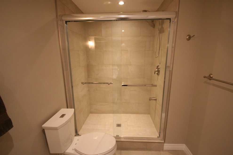 Basement - transitional basement idea