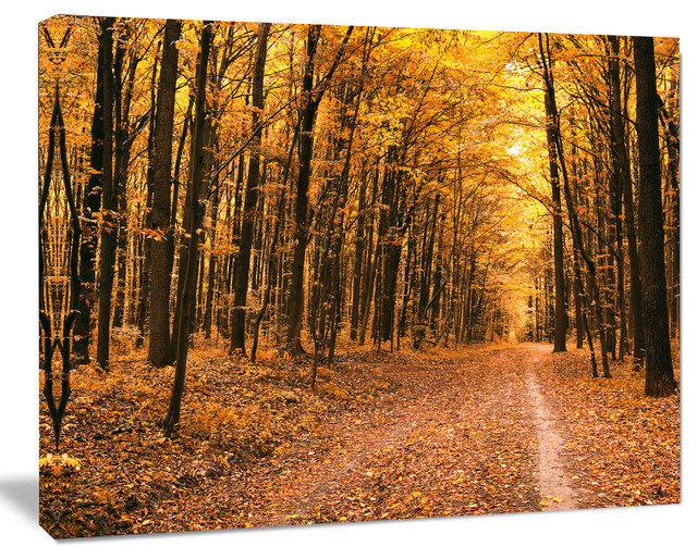AUTUMN FOREST MODERN WALL DESIGN CANVAS PRINT ART PICTURE 30 X 20 Inch WALL ART