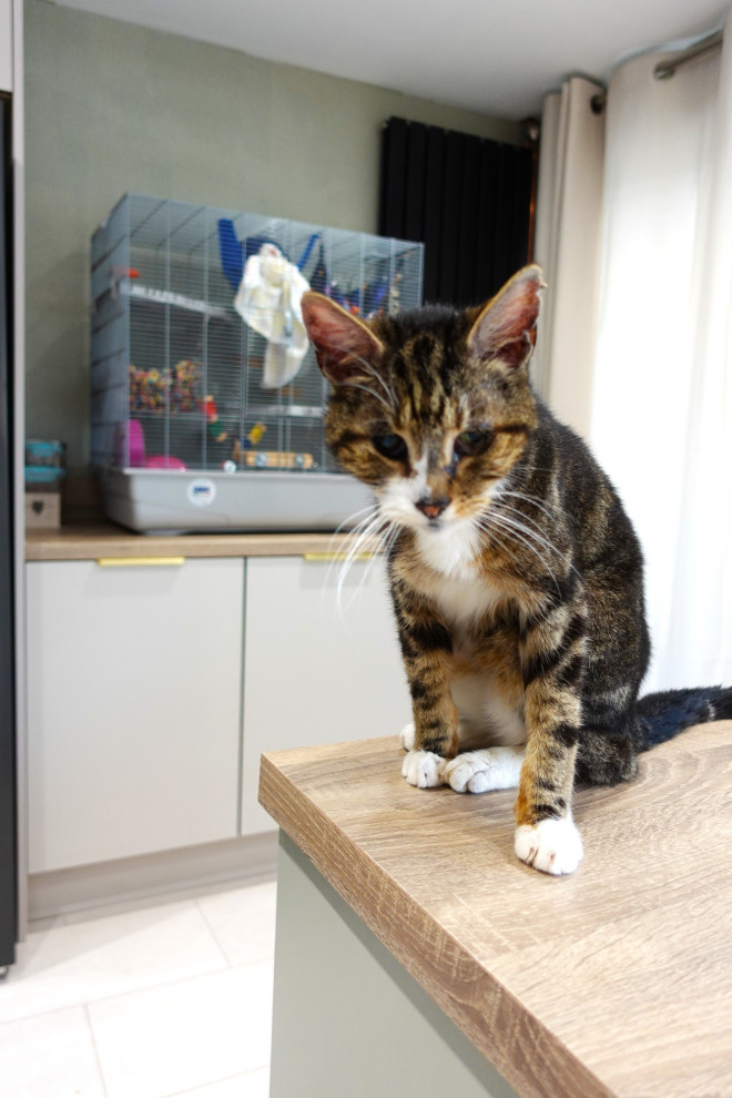 The Barwell Kitchen II - Sodermalm - RRP £20,000 - Luxe Price £17,900