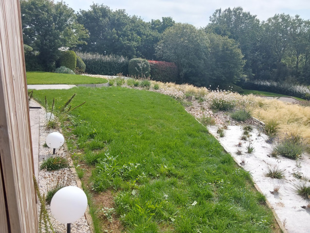 Jardin en paliers contemporary-garden
