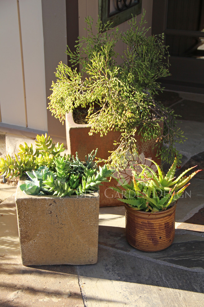 Design ideas for a contemporary landscaping in Los Angeles.