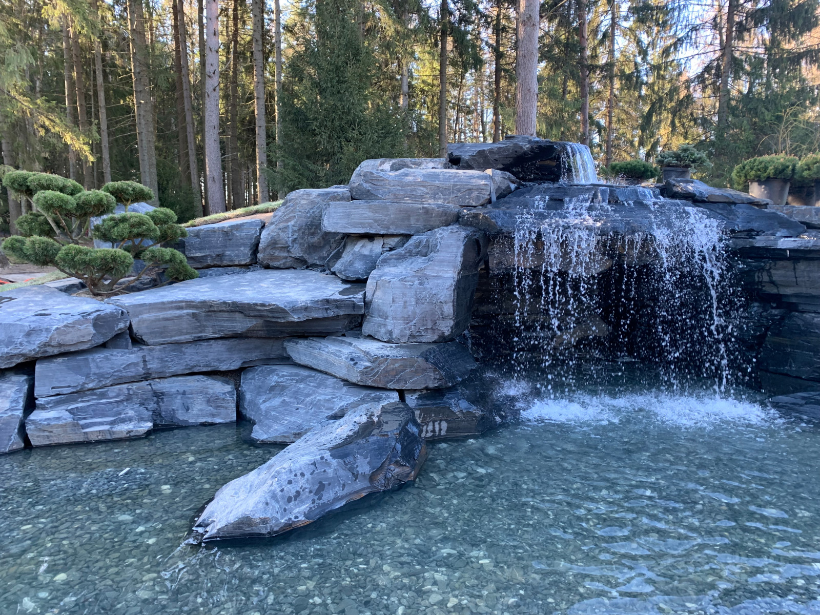 Проект сада с водоемом