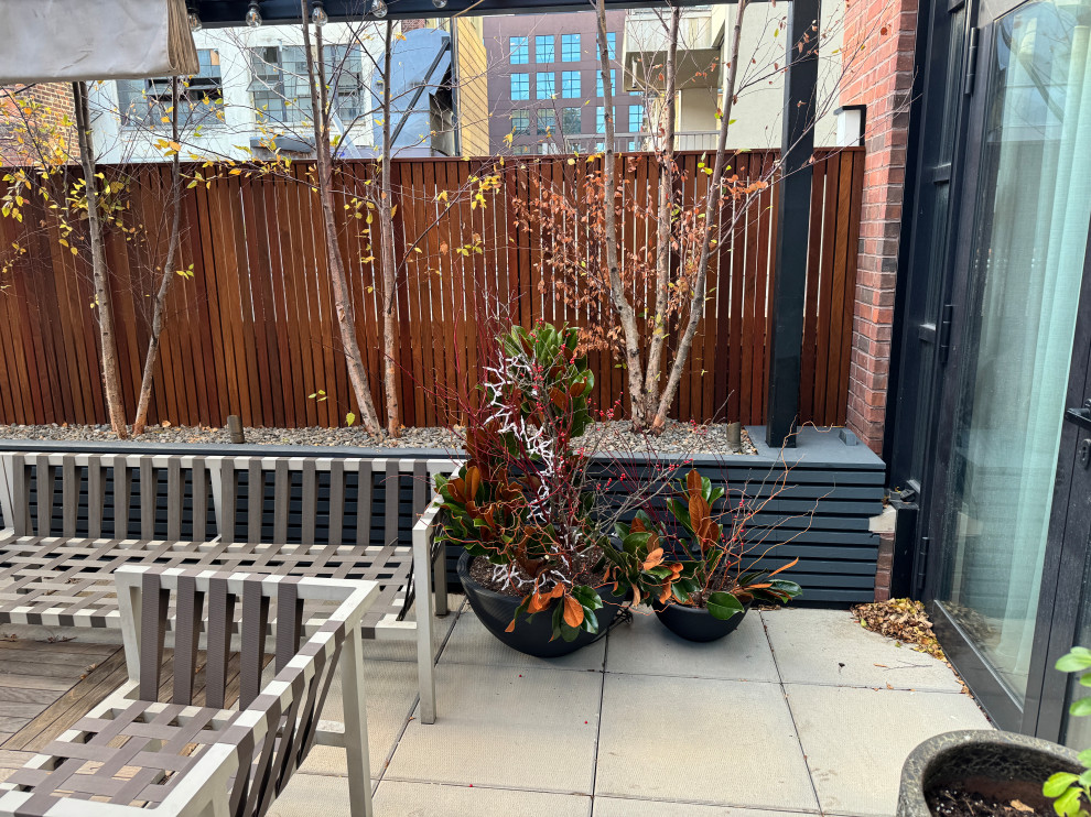 Williamsburg terrace