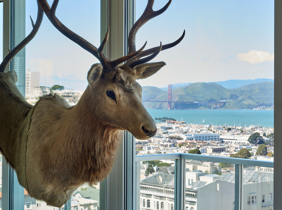 Penthouse views in San Francisco