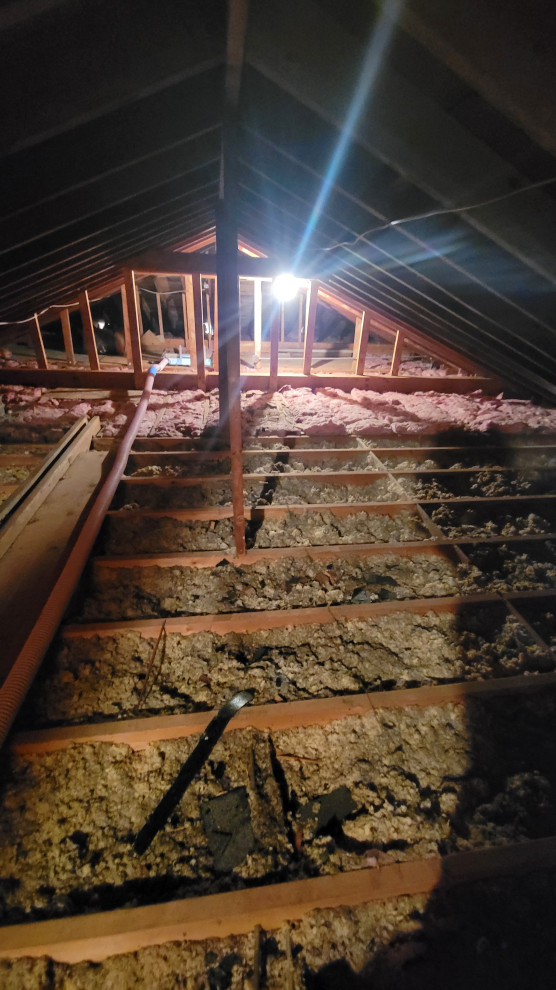 Rental Property Conversions