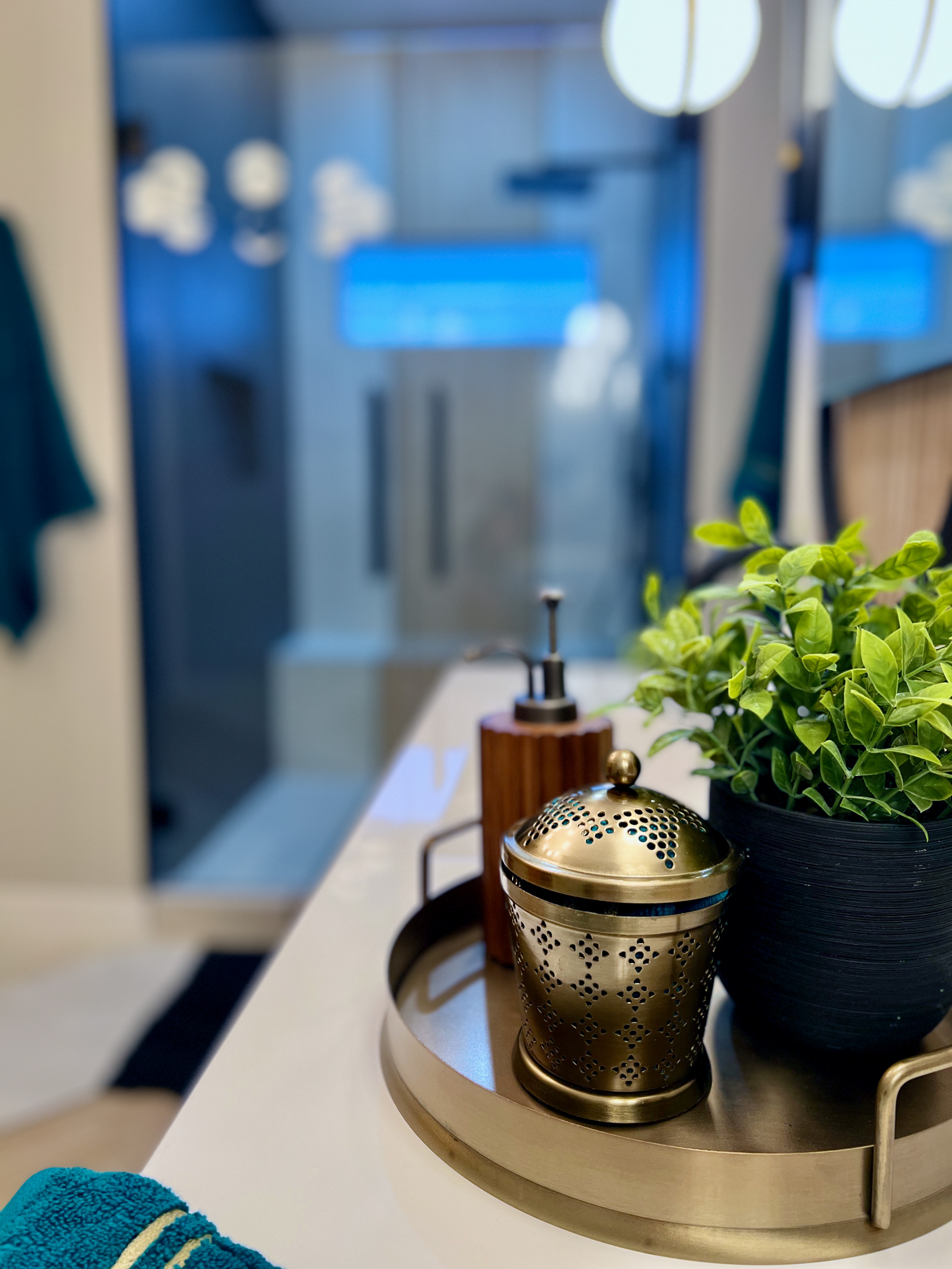 MASTER BATHROOM REMODEL