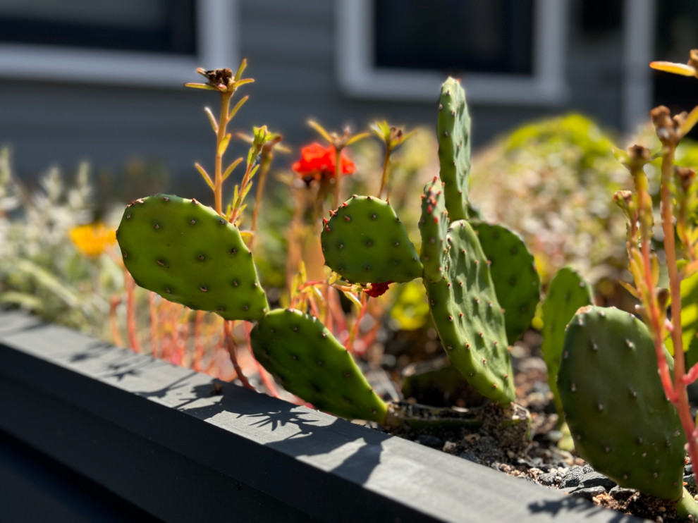 Greenwood front and back yard